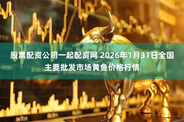 股票配资公司一起配资网 2026年1月31日全国主要批发市场黄鱼价格行情