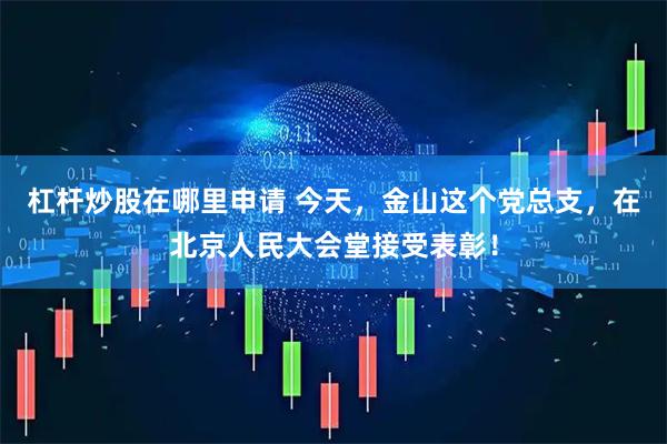 杠杆炒股在哪里申请 今天，金山这个党总支，在北京人民大会堂接受表彰！