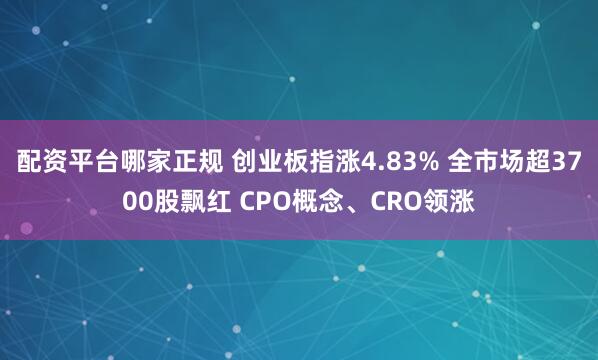 配资平台哪家正规 创业板指涨4.83% 全市场超3700股飘红 CPO概念、CRO领涨